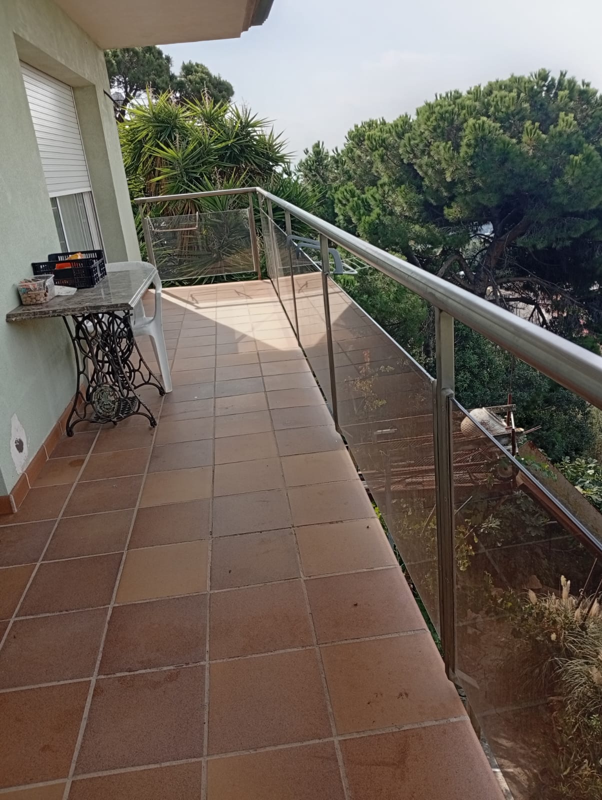 Imagen de WhatsApp 2025-10-03 a las 12.13.43_de7c8273