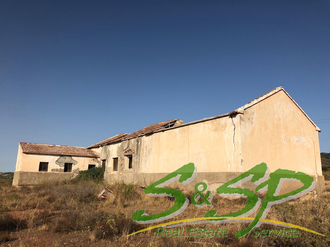 WhatsApp Image 2019-07-13 at 17.08.54